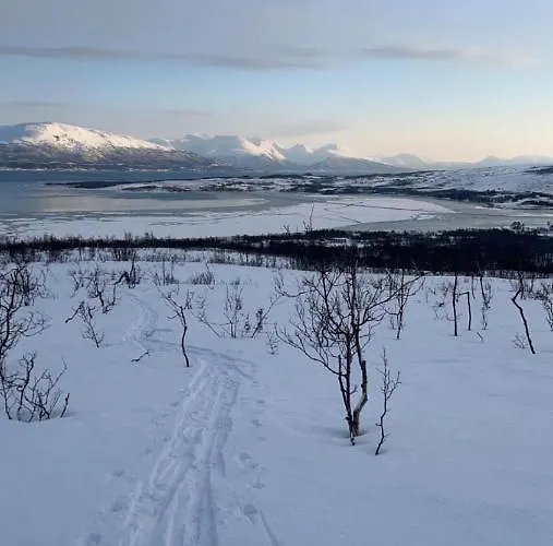 A Modern In Nature's Embrace * Tromsø