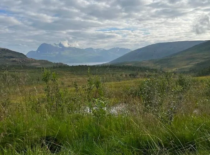 Semesterbostad A Modern In Nature's Embrace