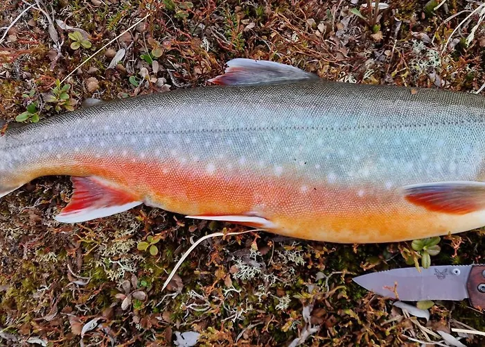 A Modern In Nature's Embrace