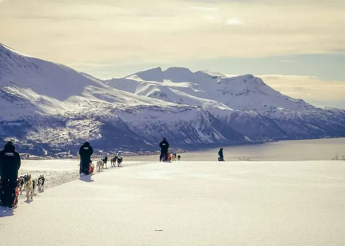 A Modern In Nature's Embrace Semesterbostad