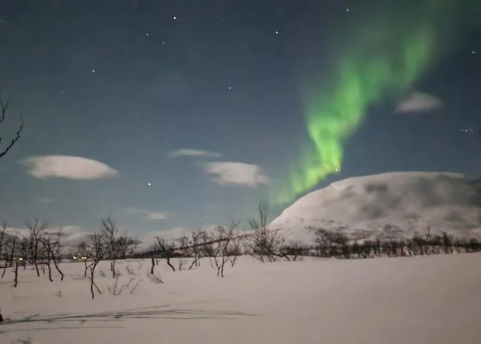 Semesterbostad A Modern In Nature's Embrace *