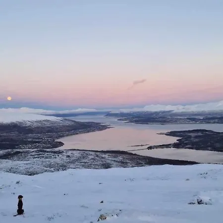 A Modern In Nature's Embrace Holiday home *